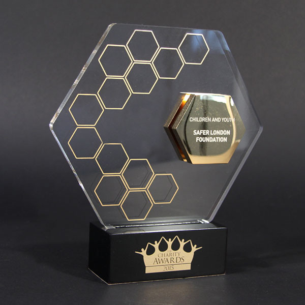 Charity Award - EFX Bespoke Awards and Trophies